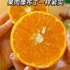 【贵州高山沃柑】高山生态种植，自然成熟香甜可口， 商品缩略图1