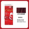 日本 美源CIELO宣若 染发剂各款-40g 商品缩略图9