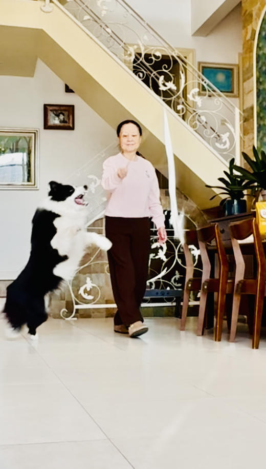 Mrx纯原单 羊毛裤 商品图0