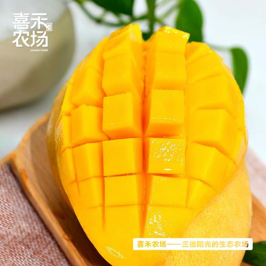 喜禾农场金煌芒6斤装（4-6个）| 树上自然成熟、香甜多汁、个大肉厚、回味悠长 商品图2
