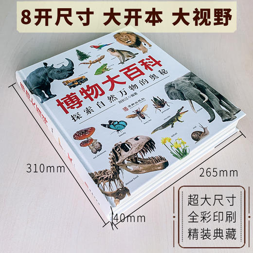 《博物大百科全书》正版少儿科学书籍探索自然万物的奥秘6-10-16岁 商品图2