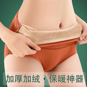 雀说 【4条】加绒加厚女内裤女纯棉高腰收腹护腰防寒保暖三角裤11