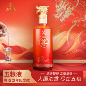 一价到底 【五粮液·尊酒】龙年限定 宜宾总厂 经典五粮 限时福利 开仓放价