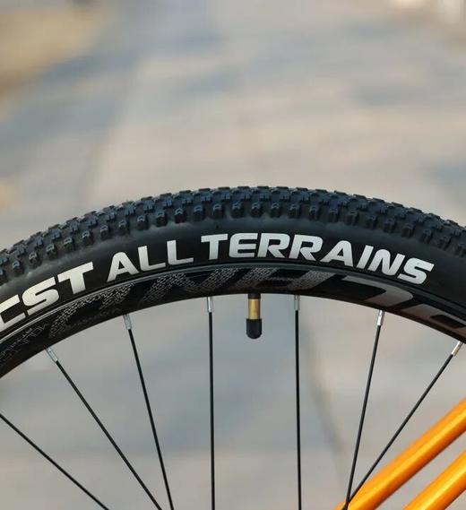 UPLAND阿普兰生肖羊 碳纤维平把 机械变速公路车男女骑行单车 商品图9