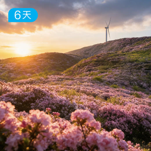 新线首发｜第一届贵州乌蒙山 杜鹃花季徒步节 轻徒50km 6天 商品图2