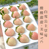 新鲜白雪公主草莓礼盒高端水果果香四溢空运直达产地直采当天采摘当天发货生日礼物伴手礼首选 商品缩略图0