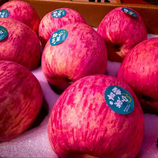 【悠选好货】甘肃静宁苹果礼盒国家地理标志产品顺丰包邮 商品图6