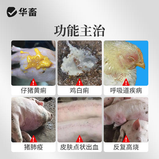 华畜盐酸土霉素可溶性粉猪鸡肠炎拉稀大肠杆菌支原体感染兽药正品 商品图1