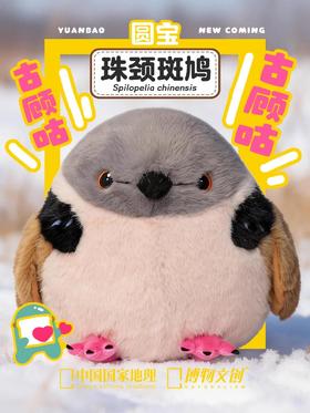 古顾咕…傻咕咕…？