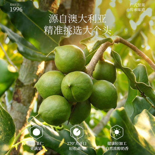 夏威夷果460克 商品图3