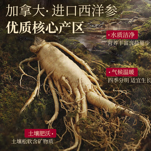 神农金康 人参西洋参红参年货礼盒245g礼品送礼送长辈营养品滋补实用 商品图4