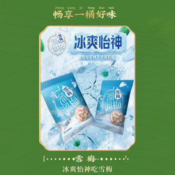 溜溜梅青梅分享桶460g西梅雪梅脆青梅果冻健康休闲零食团购礼包 商品图0