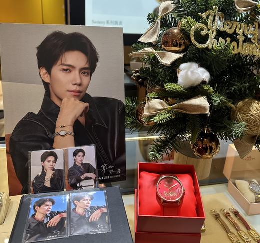 男女同款寇驰马年限定红金镶嵌吉祥新程手表 商品图14