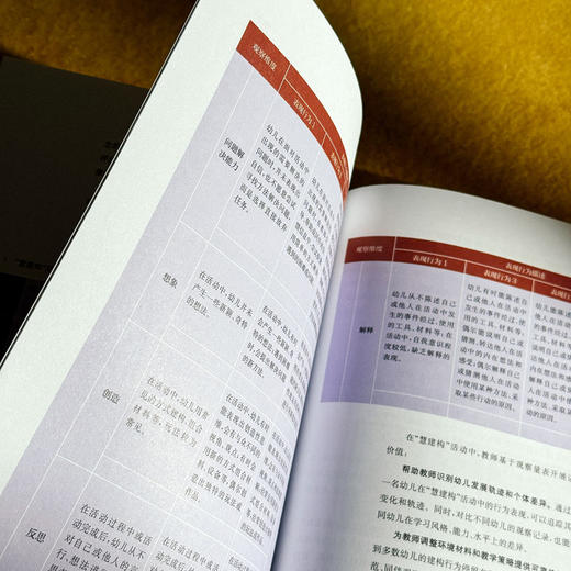 让建构自然发生 幼儿园“慧建构”活动的开发与实施 尹萍 聚焦师幼共生 商品图12