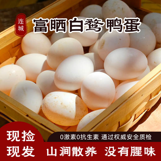 【正宗新鲜连城白鸭蛋】 溪水散养白鹜鸭蛋 现捡现发 商品图0