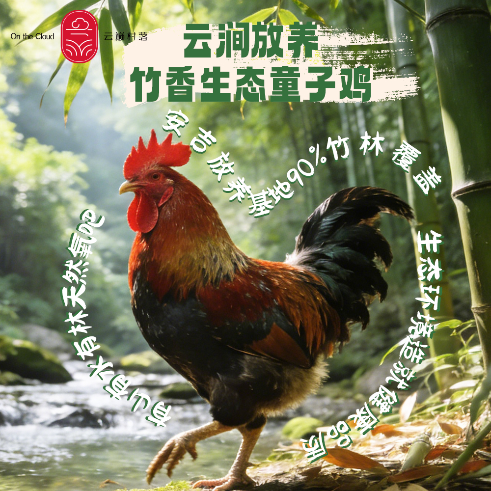 云巅村落-云涧放养竹香生态童子鸡（活鲜）