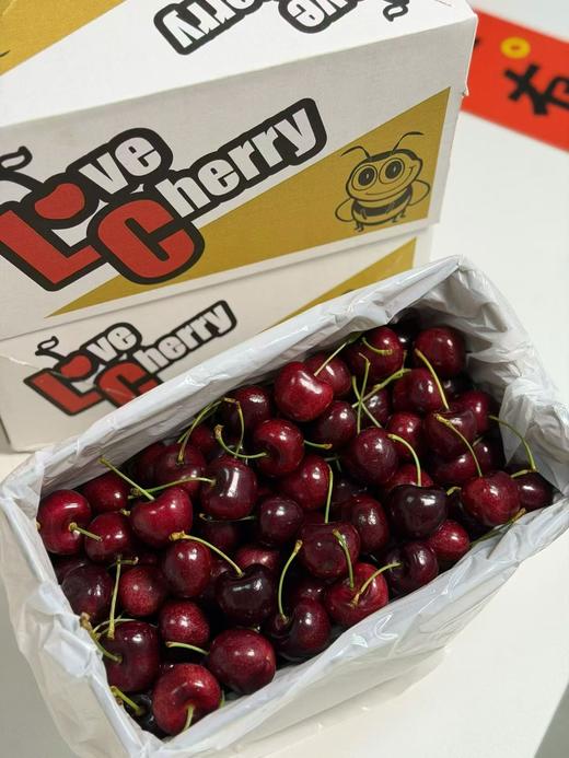 【觅趣小铺·智利车厘子-船运】智利皇室科迪亚车厘子 黑钻级典藏 商品图11