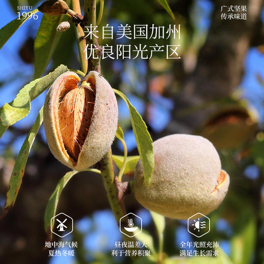 盐焗巴旦木498克 商品图3