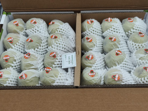 【年货节】库尔勒香梨 脆甜爽口 水润生津 净重11斤左右 商品图1