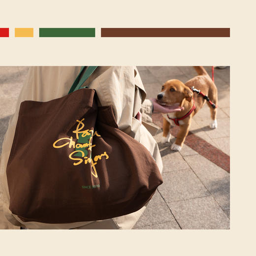 超能装！我超爱的彩虹纯棉帆布大容量单肩包 商品图2