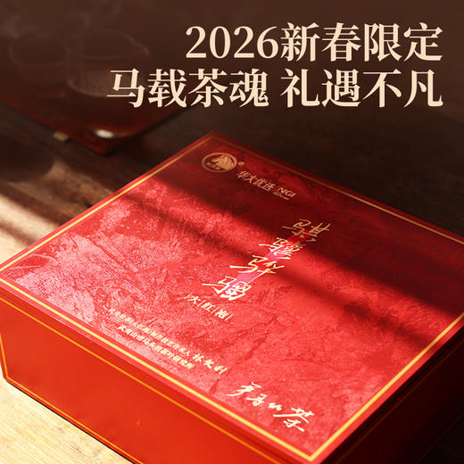 【尹哥的茶-大红袍】华大尹哥的茶武夷岩茶大红袍骐骥骅骝马年礼盒装特级品质新春送礼 商品图1