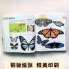 《博物大百科全书》正版少儿科学书籍探索自然万物的奥秘6-10-16岁 商品缩略图5