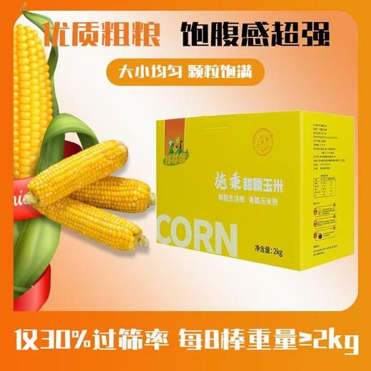 【鲜都督·甜糯玉米】 2kg礼盒装 商品图1