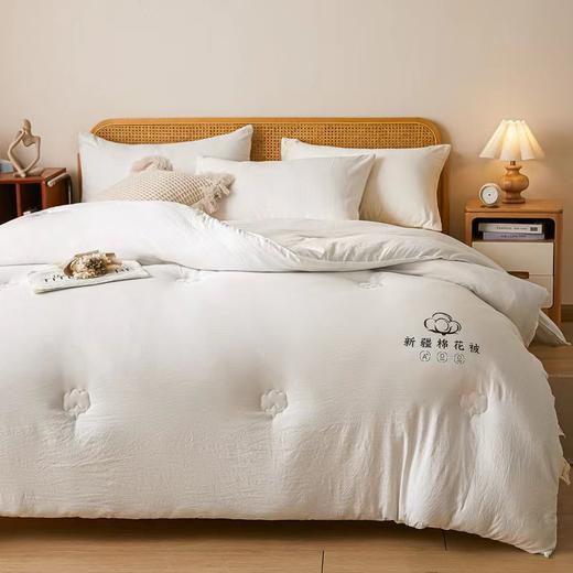 新疆原棉棉花被【悠梦嘉居新疆原棉棉花被原本色，水洗棉面料 棉花填充秋冬双人被3000克200*230，原本色】 商品图4