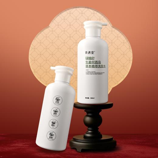 【古方植萃养发，秀发浓密如初】青邈堂 碌柚叶生姜何首乌草本植萃洗发水 商品图4