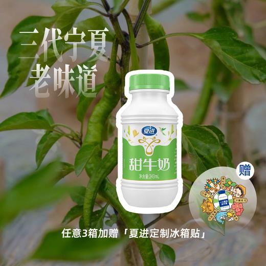 夏进甜牛奶243ml×15瓶 商品图0