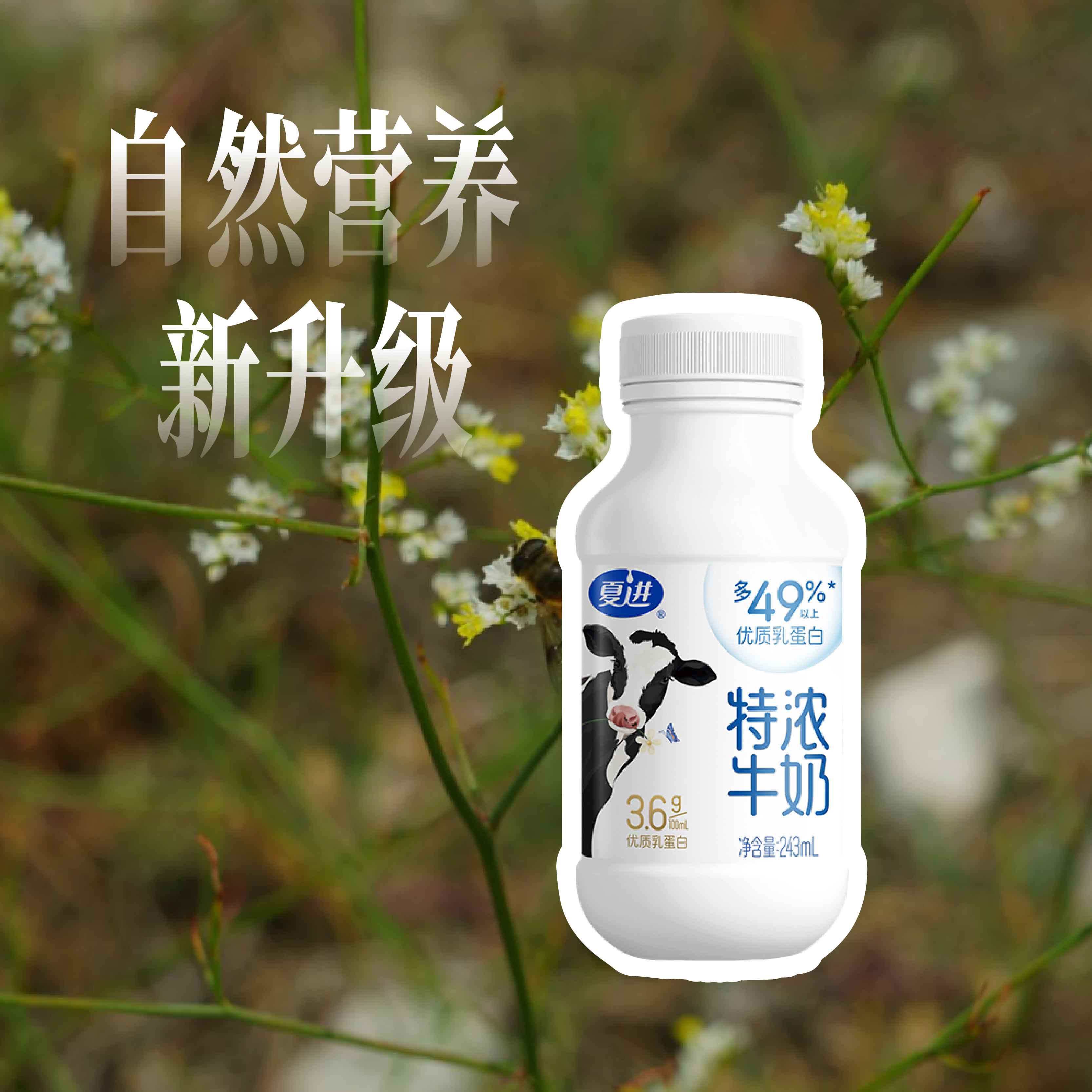 夏进瓶装特浓牛奶243ml×10瓶
