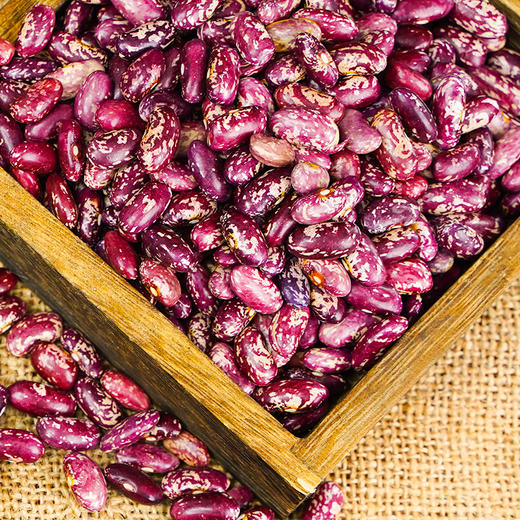 溢田有机芸豆425g 商品图2