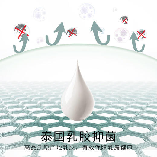 【298选3件】D2-💟【B-F杯】【大胸显小.乳胶款】内衣女薄款无钢圈调整型胸罩杯收副乳防下垂文胸  云庭玉立 商品图9