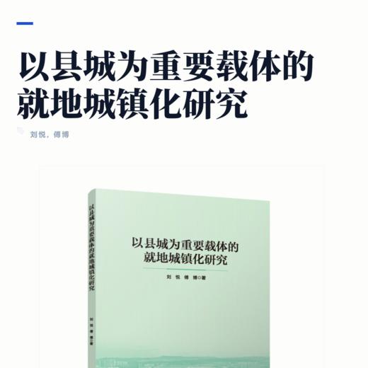 以县城为重要载体的就地城镇化研究 商品图2