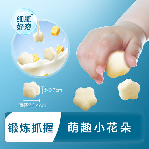 禾泱泱高钙奶酪花朵原味/香蕉味/蓝莓味/草莓味20g（5g*4） 商品图5