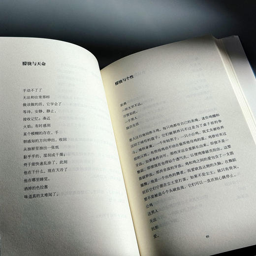 诗人的隐秘生活 莱特诗选 精装 C.D.莱特 商品图11