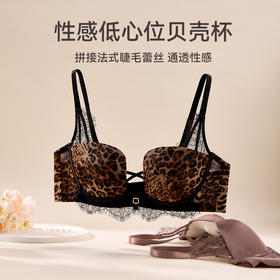 芬腾女士内衣记忆钛软圈性感蕾丝舒适聚拢文胸上托防下垂透气胸罩