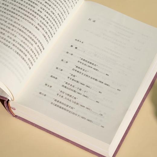 文学纪念碑 最后一位维多利亚人：乔治·艾略特传 热销 必读 正版 （英）凯瑟琳·休斯 著 商品图3