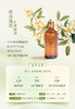 扩香精油 100ml 商品缩略图3