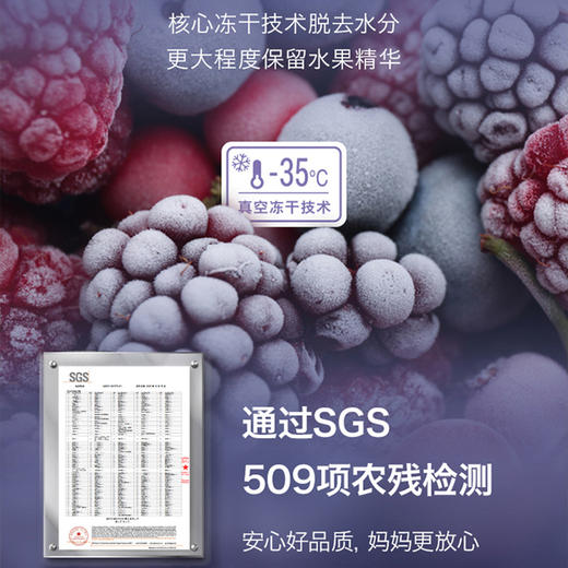 禾泱泱果果原粒-西梅/莓莓原粒-混合口味/桃桃原粒/果果原粒15g 商品图5