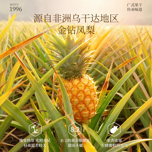 凤梨干428克 商品图2