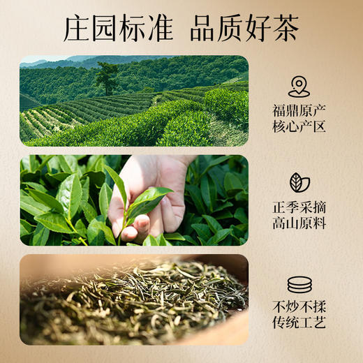 华祥苑茶叶礼盒 华祥庄园优选福鼎寿眉白茶 礼品礼物送礼 优选白茶 150g*1盒 商品图2