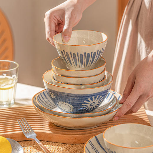 摩登主妇釉下彩饭碗家用盘子2026新款高颜值碗具日式餐具汤碗鱼盘 商品图3