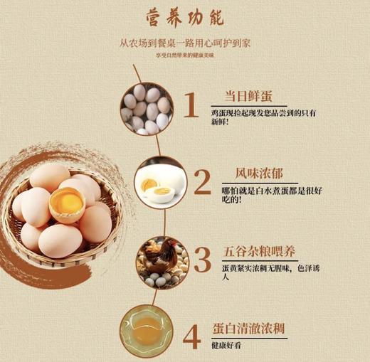 【苗食山珍·松桃谷物蛋】30枚/盒 梵净山谷物蛋 健康又美味  商品图2