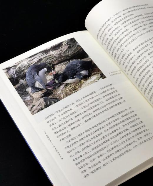 【特惠】《土摩托看世界：行走在世界之巅》，16开平装，袁越著，三联书店2018年一版一印，413面，定价79，售价35元。 商品图14