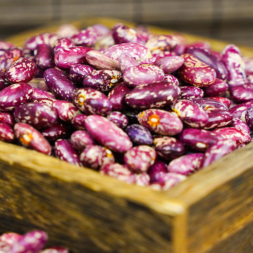 溢田有机芸豆425g 商品图1