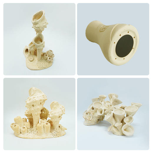 幽影千手佛海葵窝造景摆件鱼缸造景海缸造景 商品图2