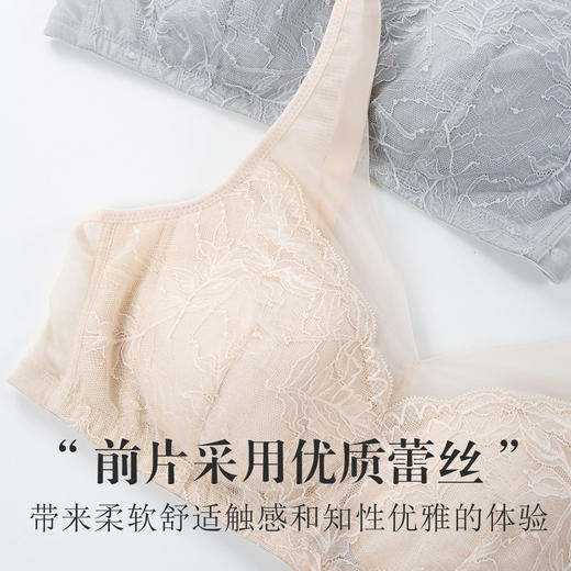 丁摩 真丝V领网纱大胸显小文胸 桑蚕丝超薄性感蕾丝无钢圈内衣S308 商品图2