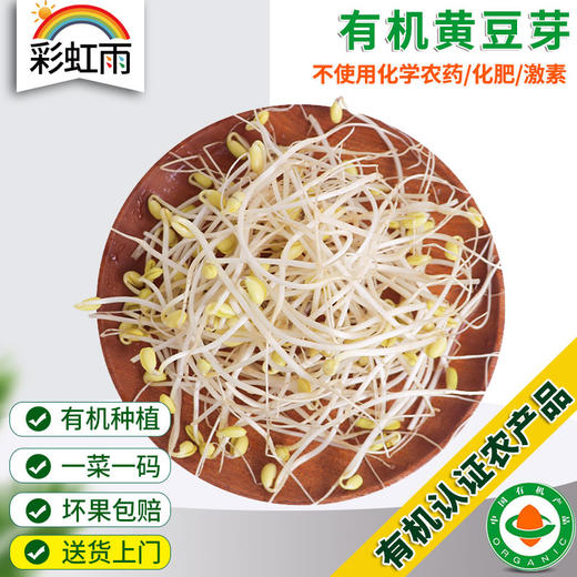 有机蔬菜黄豆芽200g自然发芽无化学农药激素清脆爽口满额包邮 商品图0