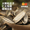西域美农  内蒙古原香瓜子  300g/袋 商品缩略图2